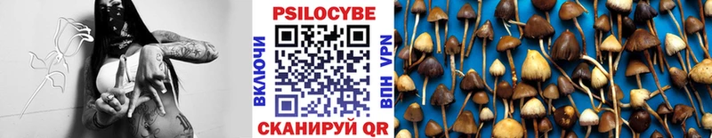 KRAKEN ссылка Крым Галлюциногенные грибы Magic Shrooms